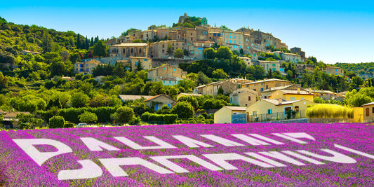 Vue d'un champs de lavande en Provence avec le nom Bahamut en transparence dans les fleurs.